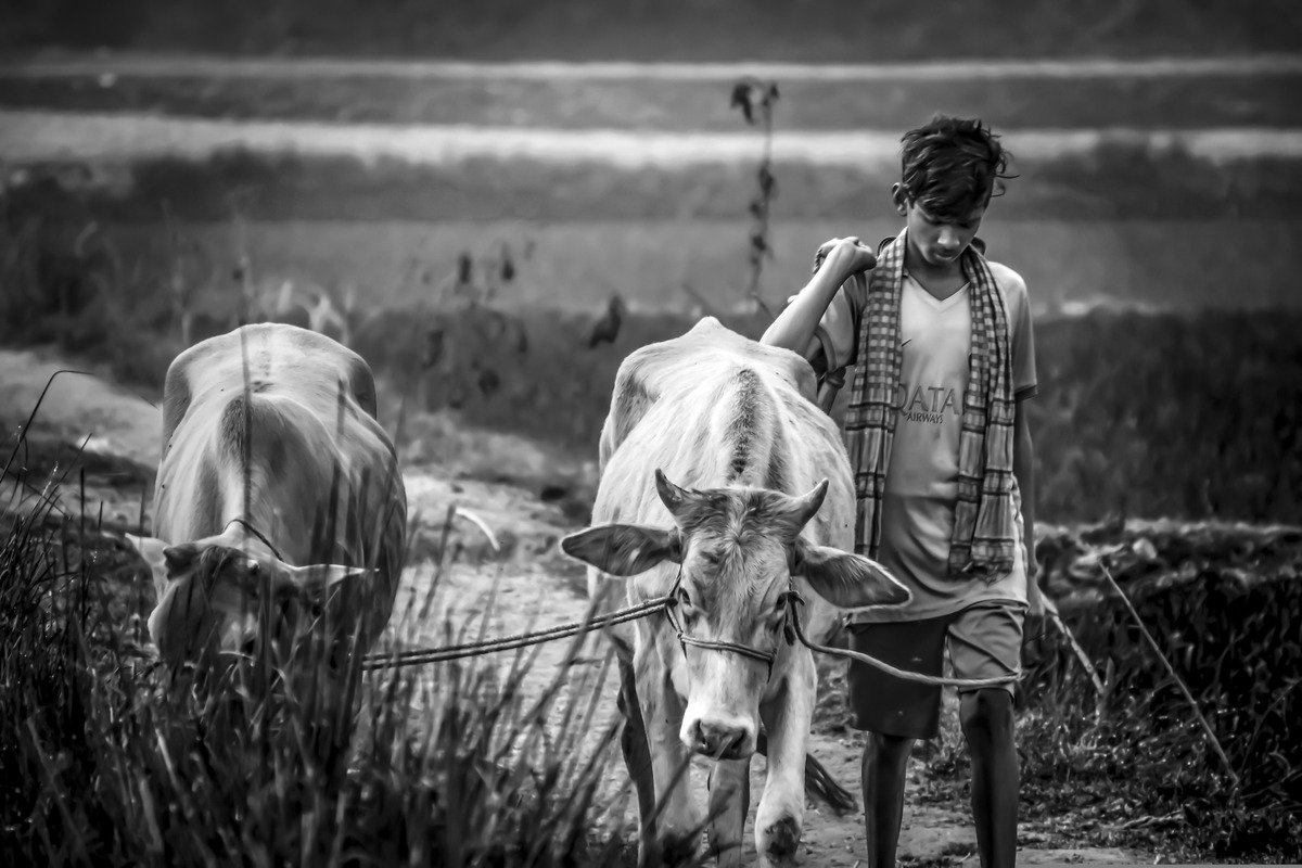 Tamil Nadu Crop Loan Waiver 2026